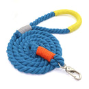 Large Dog Rope