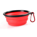 Collapsible Dog Bowl