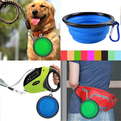 Collapsible Dog Bowl